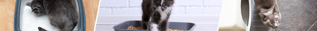 Kattesand