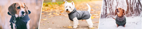 Hundedekken