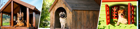 Hundehus