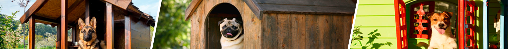 Hundehus