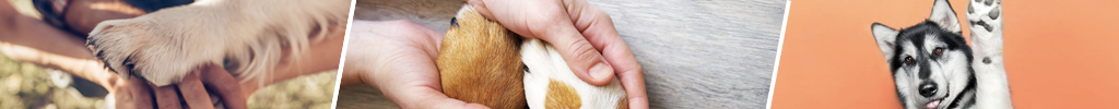Potepleie for hund