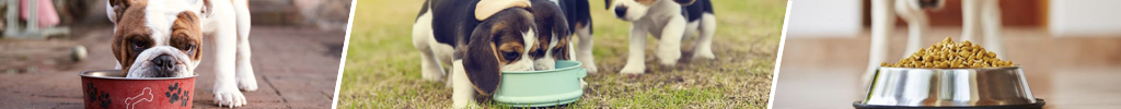 Hundeskåler - matskåler til hunden din
