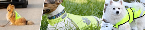 Refleksvest og lykter til hund