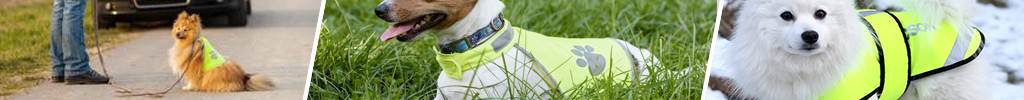 Refleksvest og lykter til hund