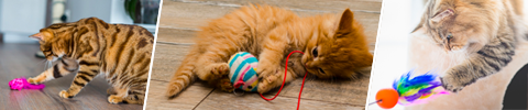 Aktivitetesleker for katt