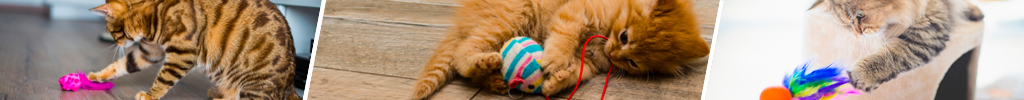 Aktivitetesleker for katt