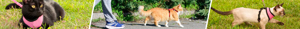 Kattesele