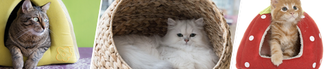 Kattehuler
