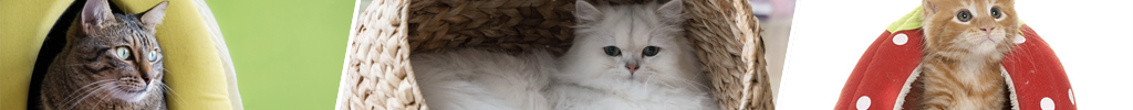 Kattehuler