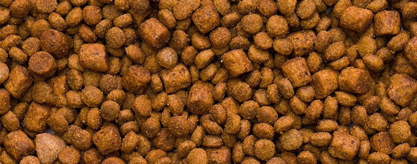 Veterinærfôr tørrfôr til hund valp voksen hund på nett