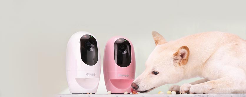 Elektronikk til hund valp på nett