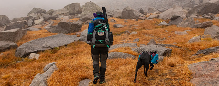 Turytstyr reisetilbehør hund eier